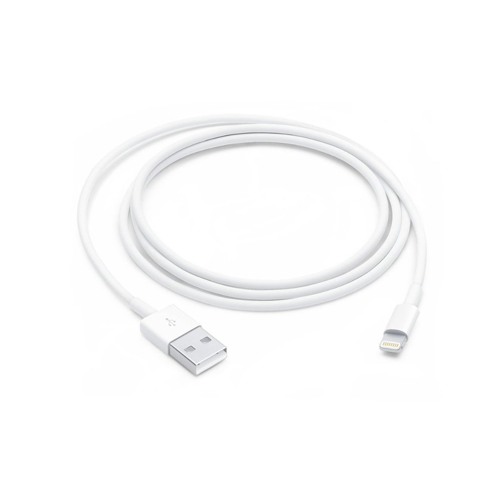 Apple iPhone charger Cable